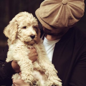 Hundefotografie Susannehelling Deutscher Bärenhund